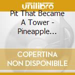 Pit That Became A Tower - Pineapple Fields cd