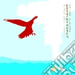 Sufjan Stevens - Enjoy Your Rabbit cd