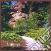 Vibhas Kendzia - Light On The Path cd
