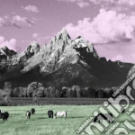 (LP Vinile) Kone - Yellowstone vinile