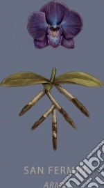 (LP Vinile) San Fermin - Arms vinile