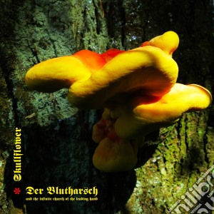 Der Blutharsch / Skullflower - Angel Of Darkness cd musicale