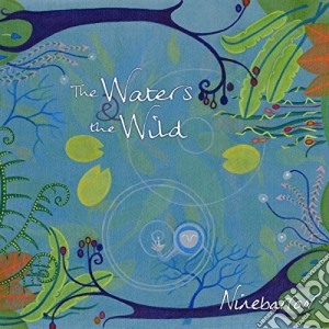 Ninebarrow - The Waters & The Wild cd musicale di Ninebarrow