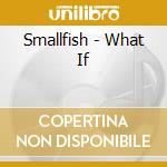 Smallfish - What If cd