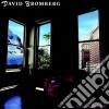 David Bromberg - Long Way From Here cd
