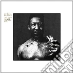 Muddy Waters - After The Rain cd