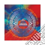 Acid Mothers Temple - Iao Chant From The Melting Paraiso Under cd