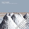 (LP Vinile) Saltland - I Thought It Was Us Butit Was All Of Us cd