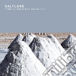 Saltland - I Thought It Was Us Butit Was All Of Us