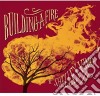 Shelley King - Building A Fire cd