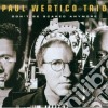 Paul Wertico Trio - Don't Be Scared Anymore cd