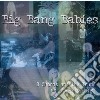 Big Bang Babies - 3 Chords And The Truth cd