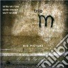 Trio M - Big Picture cd