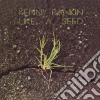 Kenny Rankin - Like A Seed cd