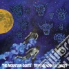 Mountain Goats - Transcendental Youth cd
