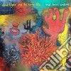 (LP Vinile) Kilgour, David And T - End Times Undone cd