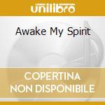 Awake My Spirit cd musicale di K&K Verlagsanstalt