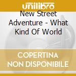 New Street Adventure - What Kind Of World cd