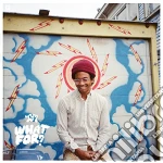 (LP Vinile) Toro Y Moi - What For? vinile