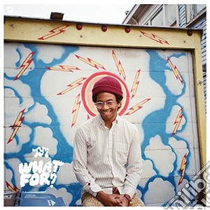 Toro Y Moi - What For? cd musicale di Toro y moi