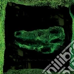 (LP Vinile) Avey Tare - Down There vinile