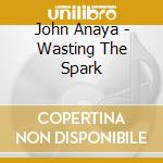 John Anaya - Wasting The Spark cd