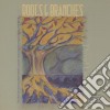 David Lauterstein - Roots & Branches cd