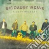 Big Daddy Weave - Fields Of Grace cd