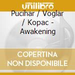 Pucihar / Voglar / Kopac - Awakening cd