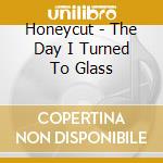 Honeycut - The Day I Turned To Glass cd
