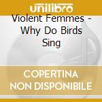 Violent Femmes - Why Do Birds Sing cd