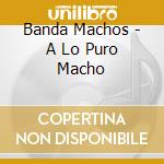 Banda Machos - A Lo Puro Macho cd musicale di Banda Machos