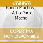 Banda Machos - A Lo Puro Macho cd
