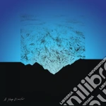 (LP Vinile) Miguel Mendez - Sleep Disaster vinile