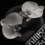 (LP Vinile) Mike Patton / Jean-Claude Vannier - Corpse Flower vinile