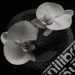 Mike Patton / Jean-Claude Vannier - Corpse Flower cd