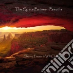 Sherry Finzer & Will Clipman - The Space Between Breaths cd