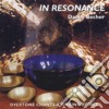 Danny Becher - In Resonance cd