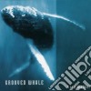 Lisa Walker - Grooved Whale cd