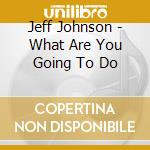 Jeff Johnson - What Are You Going To Do cd musicale di Jeff Johnson