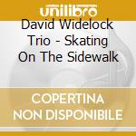 David Widelock Trio - Skating On The Sidewalk cd musicale di David Widelock Trio
