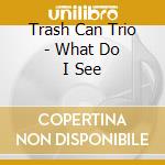 Trash Can Trio - What Do I See