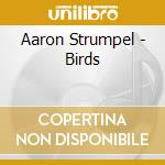 Aaron Strumpel - Birds cd musicale di Aaron Strumpel