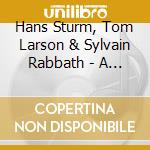 Hans Sturm, Tom Larson & Sylvain Rabbath - A Day In Paris cd
