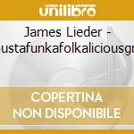 James Lieder - Acoustafunkafolkaliciousgrass cd