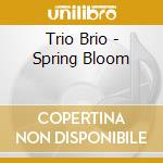 Trio Brio - Spring Bloom cd musicale di Trio Brio
