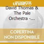 David Thomas & The Pale Orchestra - Mirror Man cd musicale di David Thomas & The Pale Orchestra