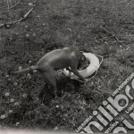 Tim Berne/Marc Ducruet/Tom Raney - Big Satan-Soul Saved Hear cd