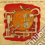 Weasel Walter / Mary Halvorson / Peter Evans - Electric Fruit