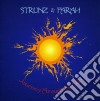 Strunz & Farah - Journey Around The Sun cd
